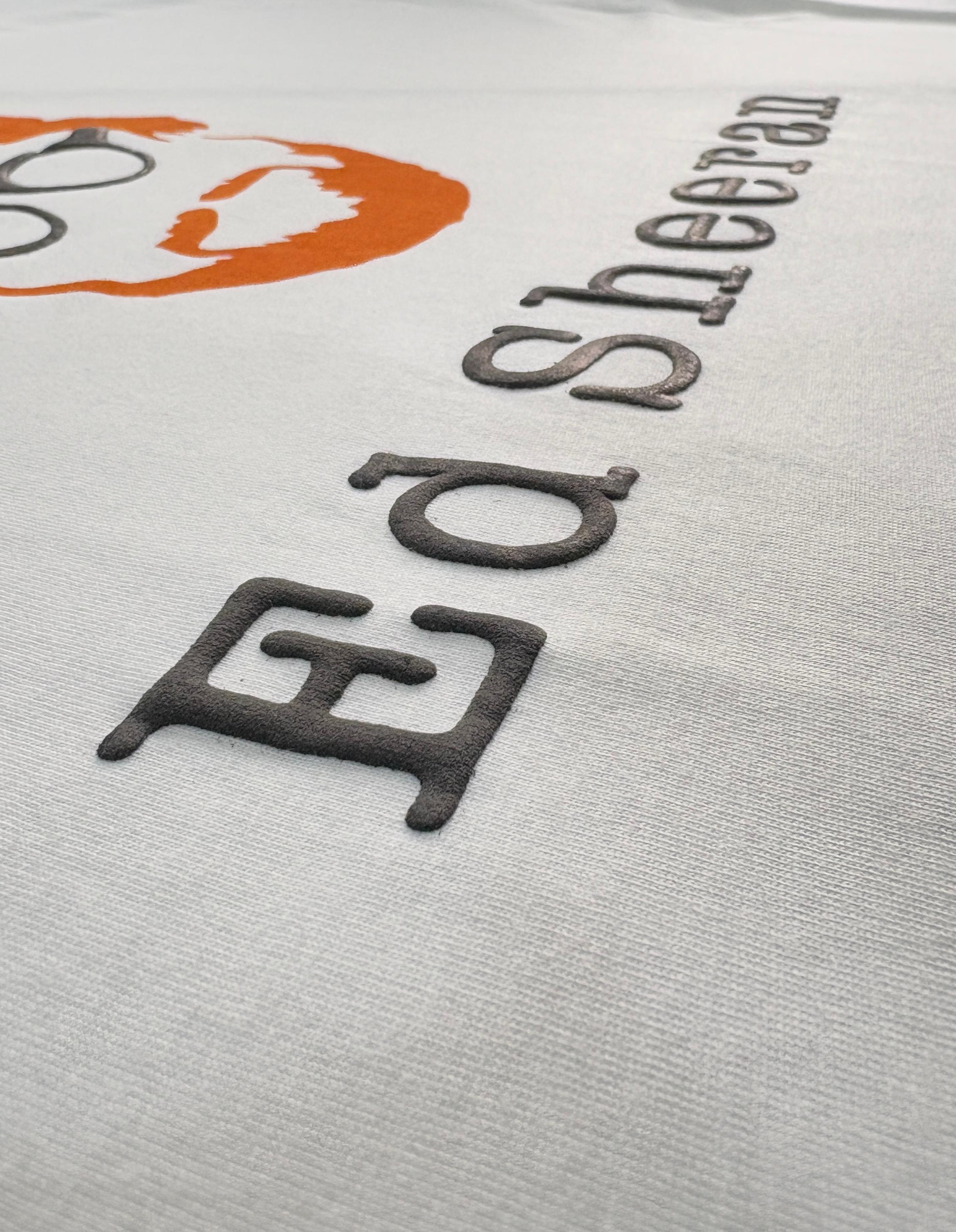 Ed Sheeran Puff Print/3d Limited Edition 200 GSM Oversized T-Shirt, Fan Favorite